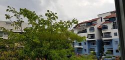 10 Shelford (D11), Apartment #441540381